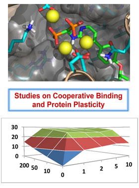 Chemical Biology Chemical Biology